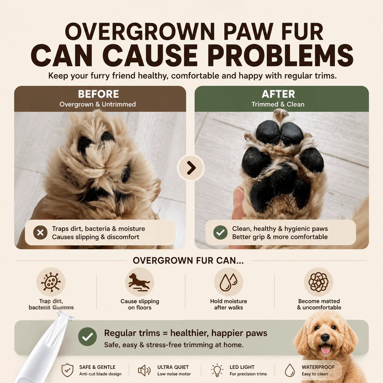 The grooming spot most owners forget