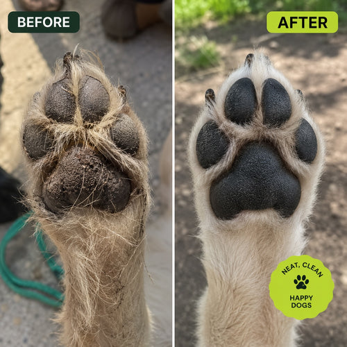 Paw Pro Trimmer
