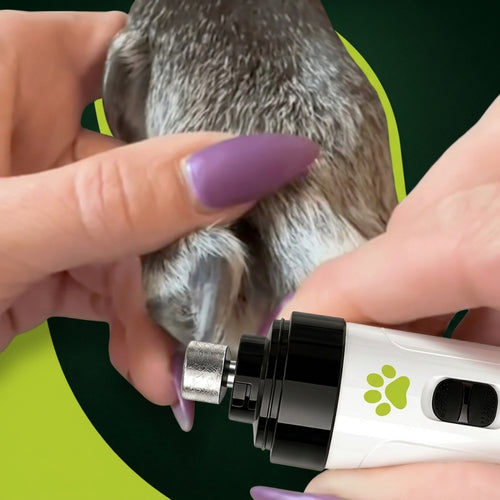 Pawss Nail Pro