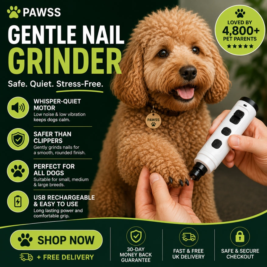 The grooming spot most owners forget